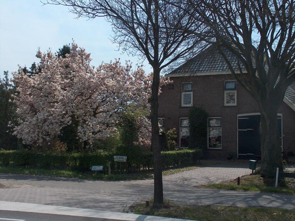 Bed and Breakfast Molenvoort Wachtum Exterior foto