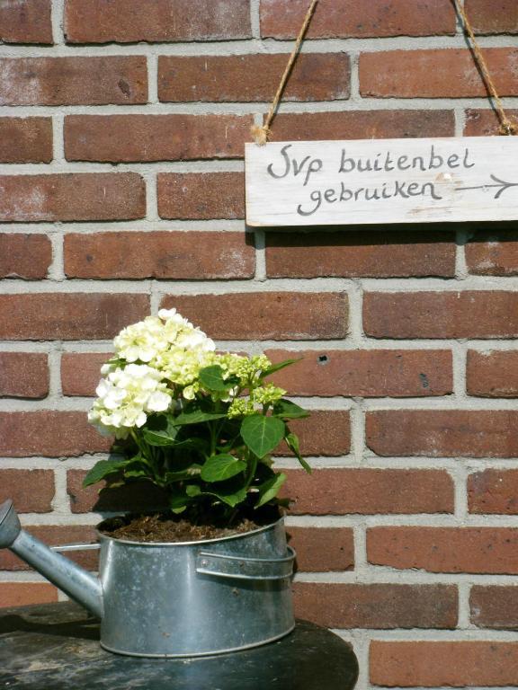 Bed and Breakfast Molenvoort Wachtum Exterior foto