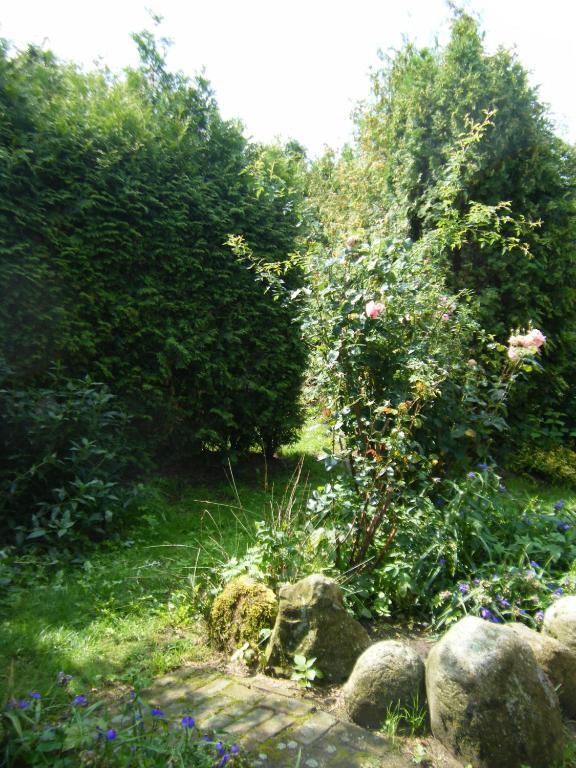 Bed and Breakfast Molenvoort Wachtum Exterior foto